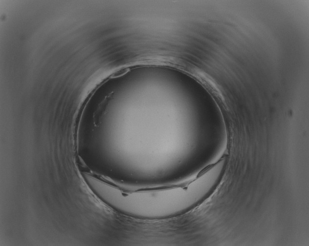 X0000089661192200707121151