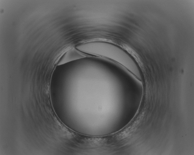 X0000089661193200707121151