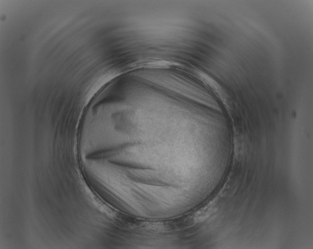 X0000089661194200707121151