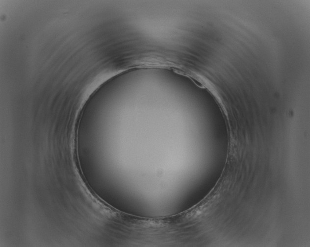 X0000089661195200707121151