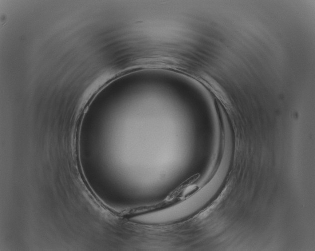 X0000089661196200707121151