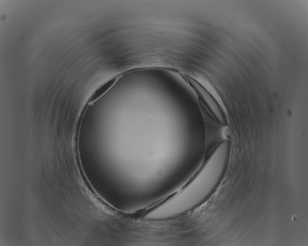 X0000089661197200707121151