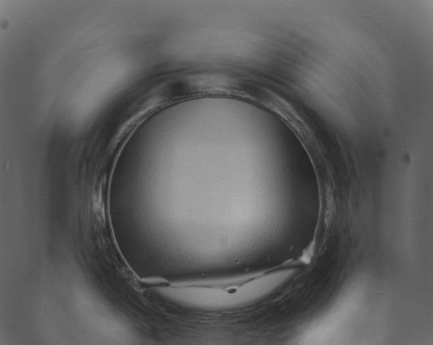 X0000089661198200707121151