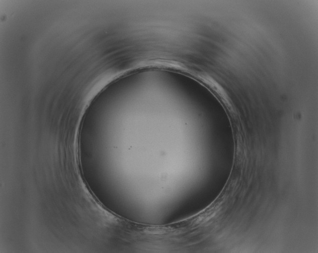 X0000089661199200707121151