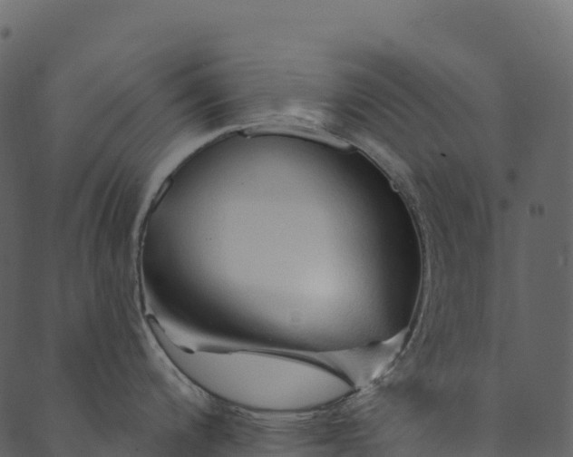 X0000089661200200707121151