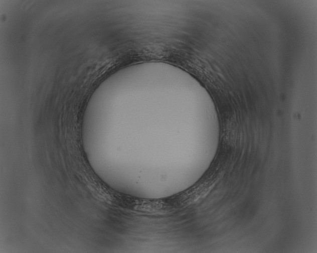 X0000089661201200707121150