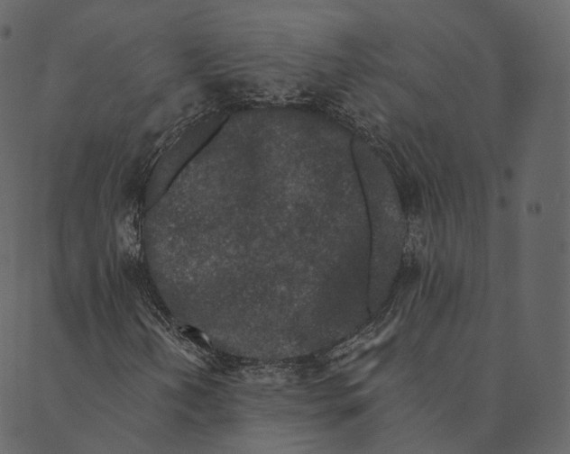 X0000089661202200707121150