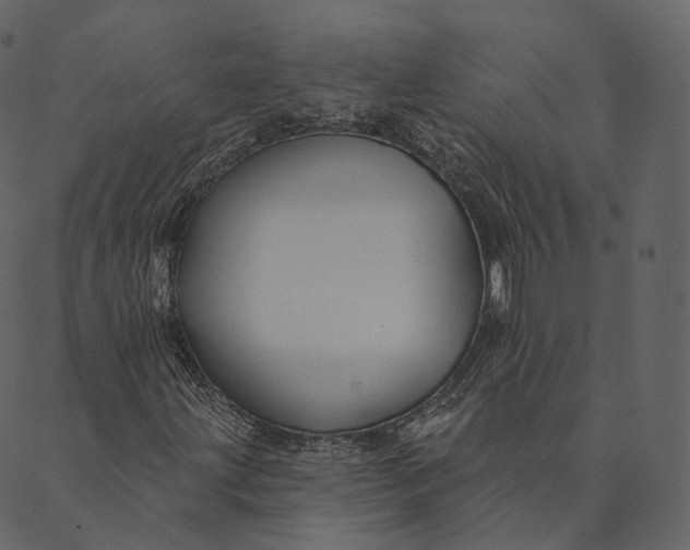 X0000089661203200707121150