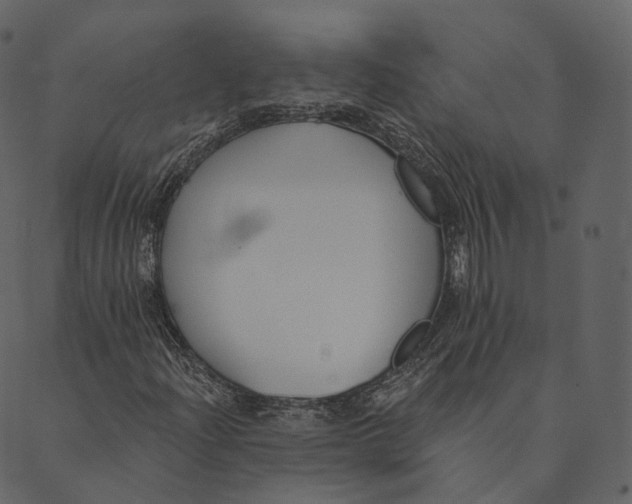 X0000089661204200707121150