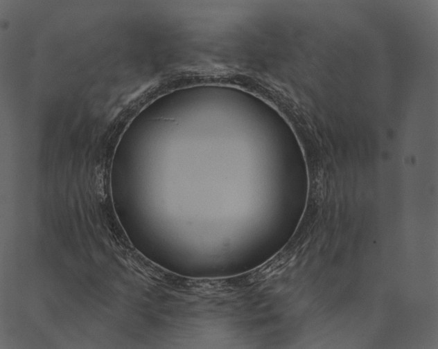 X0000089661205200707121150