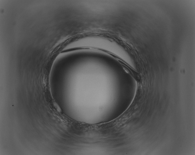 X0000089661206200707121150