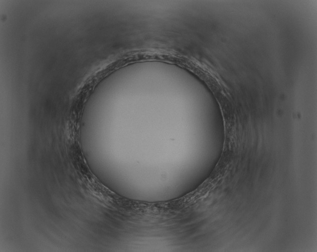 X0000089661207200707121150