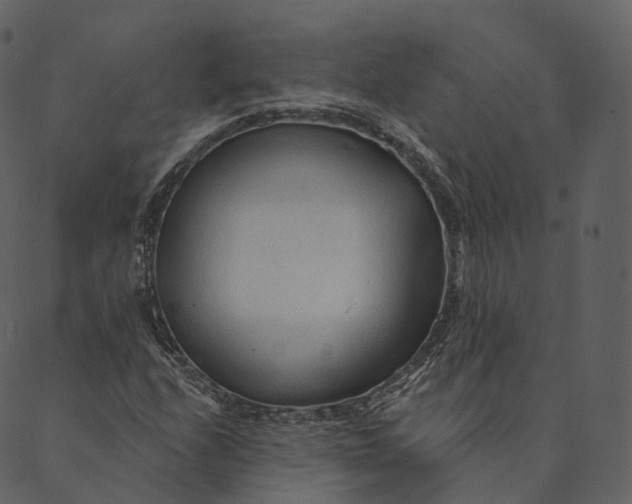 X0000089661208200707121150