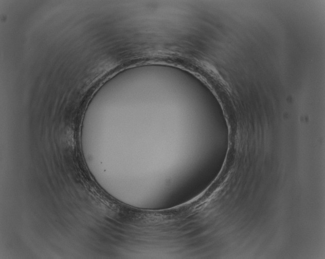 X0000089661209200707121150