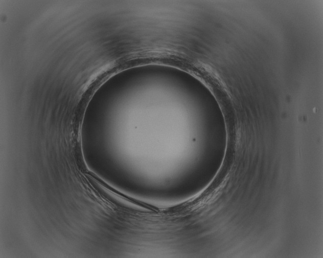 X0000089661210200707121150