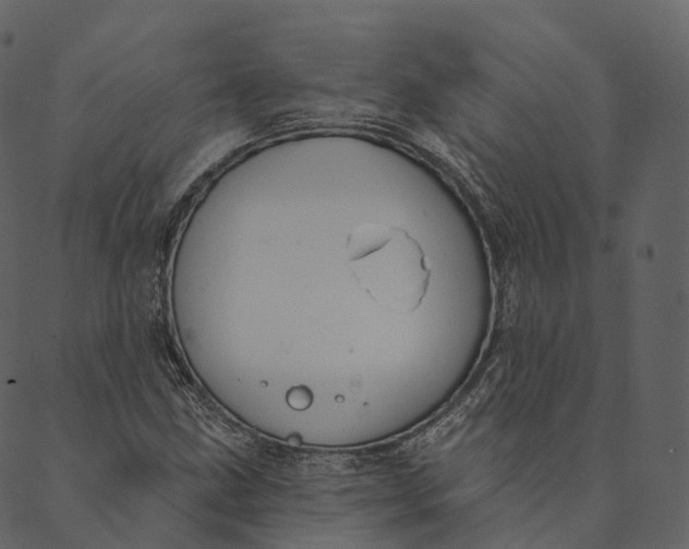 X0000089661211200707121150