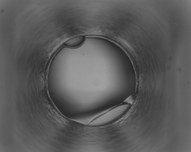 X0000089661212200707121150