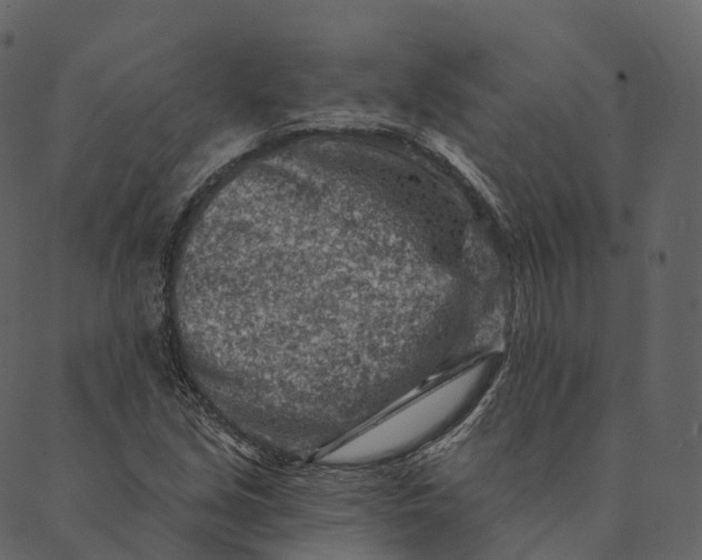 X0000089661213200707121150