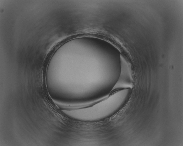 X0000089661214200707121150