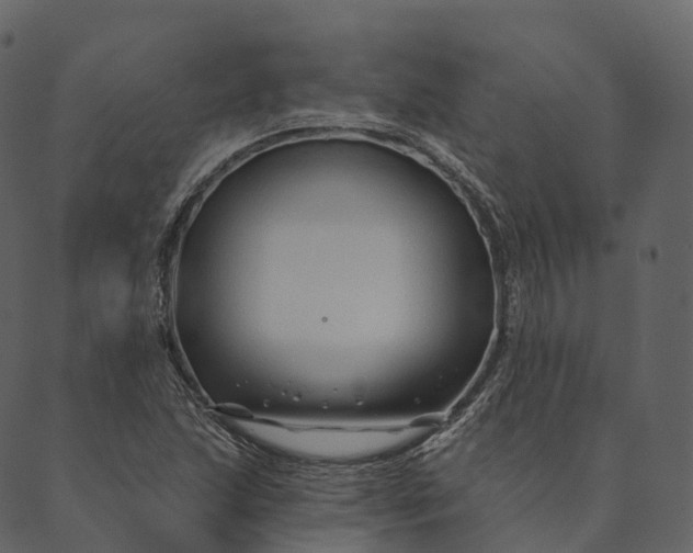 X0000089661215200707121150