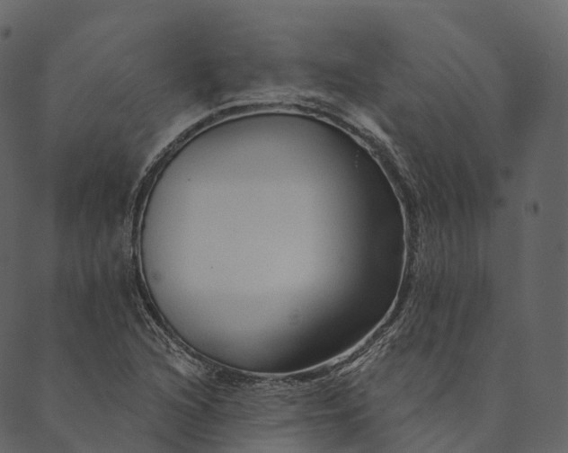 X0000089661216200707121150