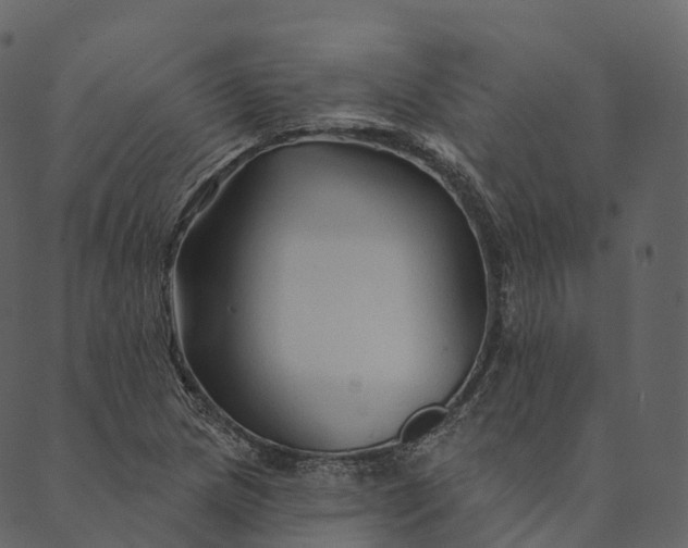 X0000089661217200707121150