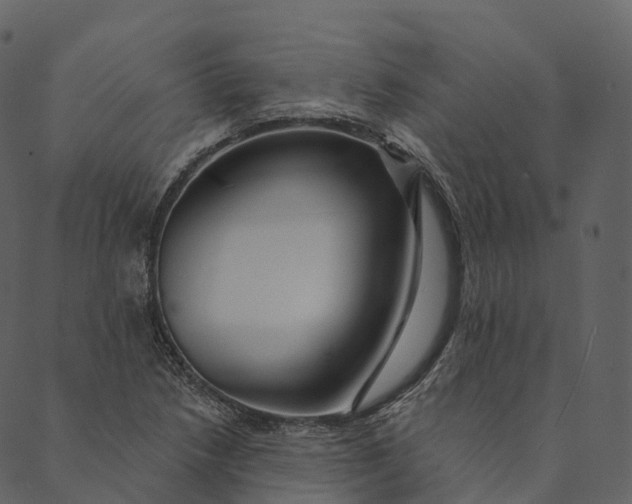 X0000089661218200707121150