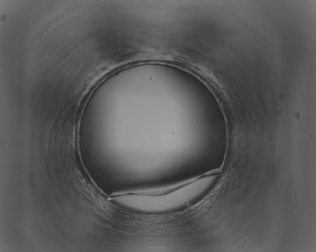 X0000089661220200707121150