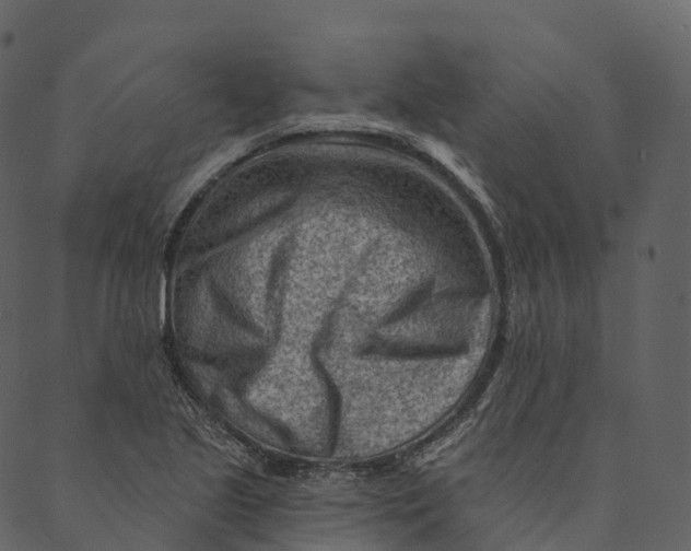 X0000089661221200707121150