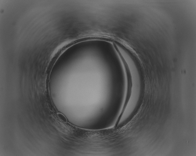 X0000089661222200707121150