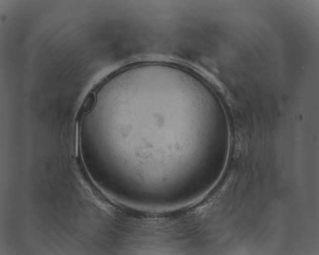 X0000089661223200707121150