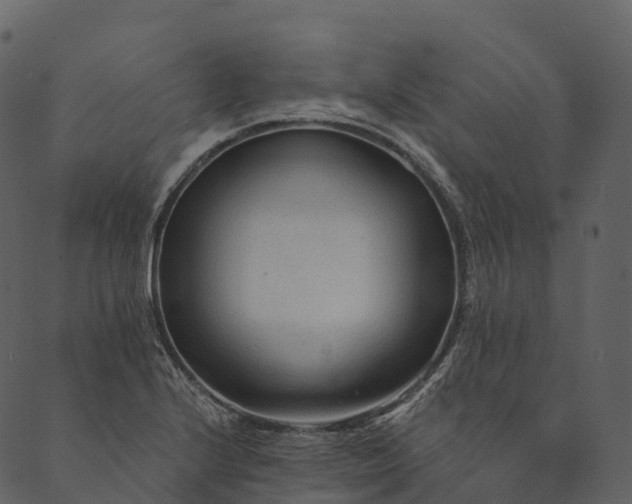 X0000089661224200707121150