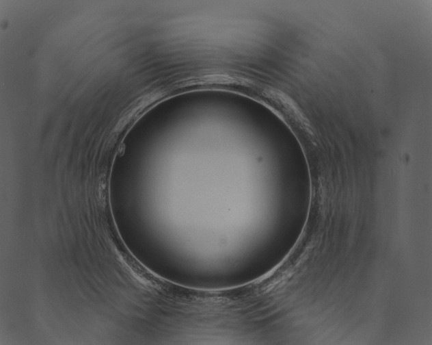 X0000089661225200707121150