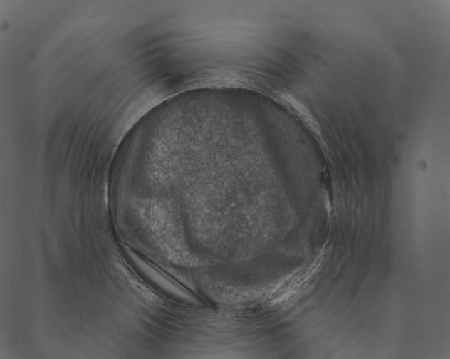 X0000089661226200707121150