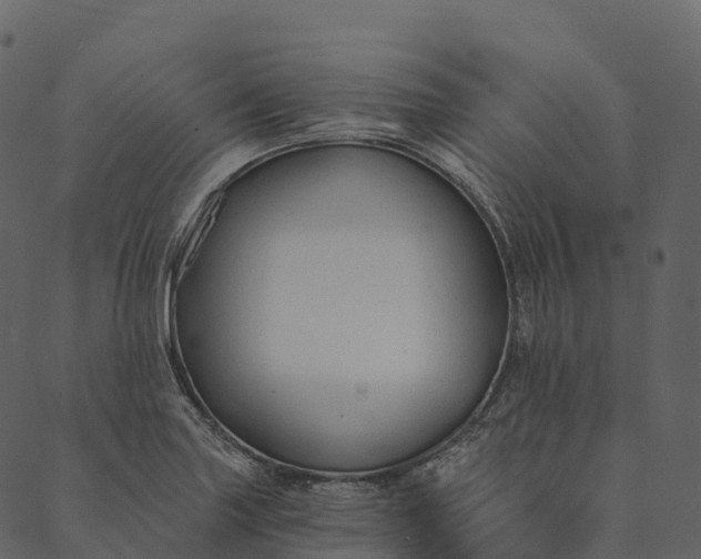 X0000089661227200707121150