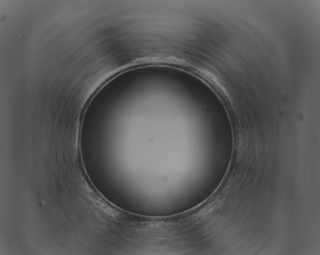 X0000089661228200707121150