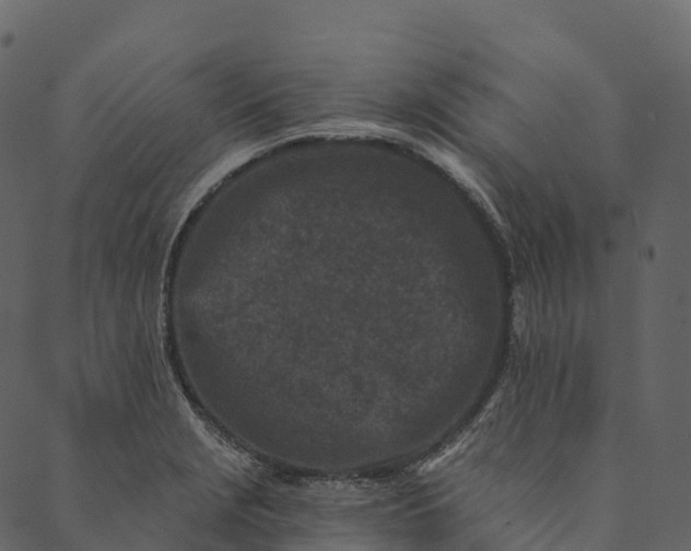 X0000089661229200707121151