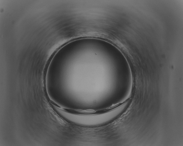 X0000089661230200707121151