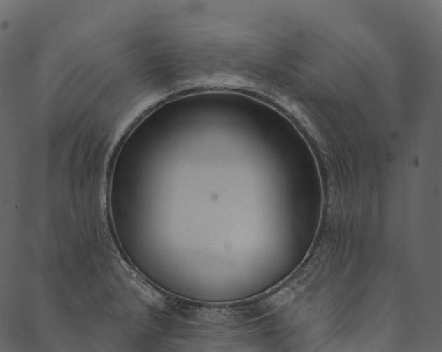 X0000089661232200707121151