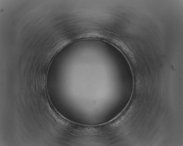 X0000089661233200707121151