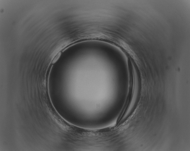 X0000089661234200707121151