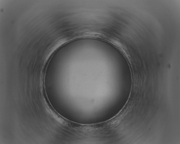 X0000089661235200707121151