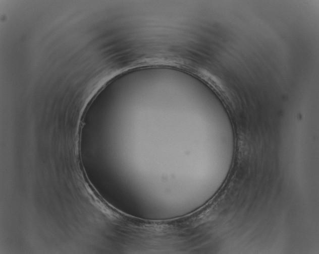 X0000089661236200707121151