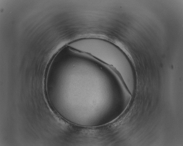 X0000089661237200707121151