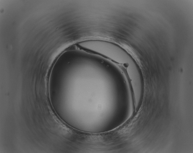 X0000089661238200707121151