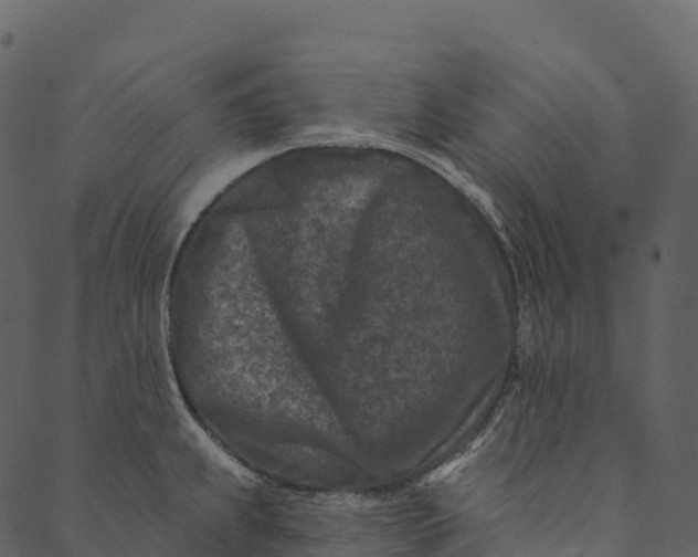 X0000089661239200707121151