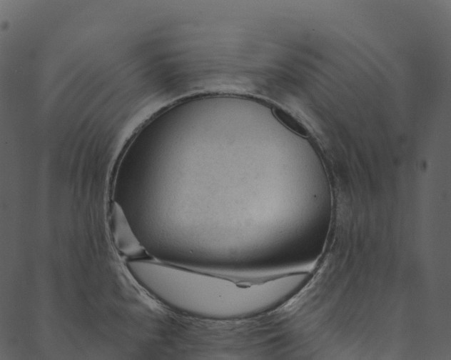 X0000089661240200707121151