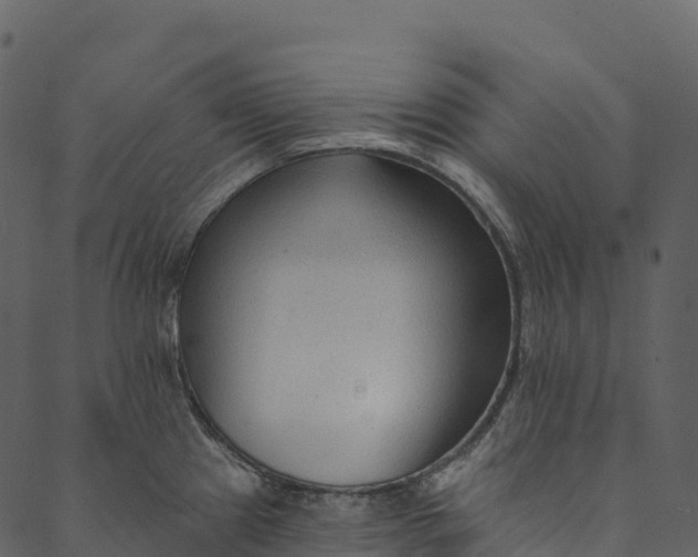 X0000089661241200707121151