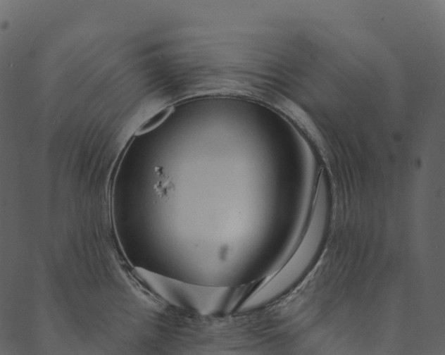 X0000089661242200707121151