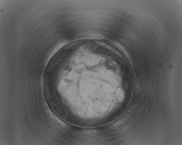 X0000089661243200707121151